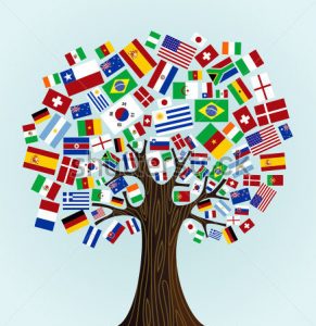 دفتر دارالترجمه رسمی
